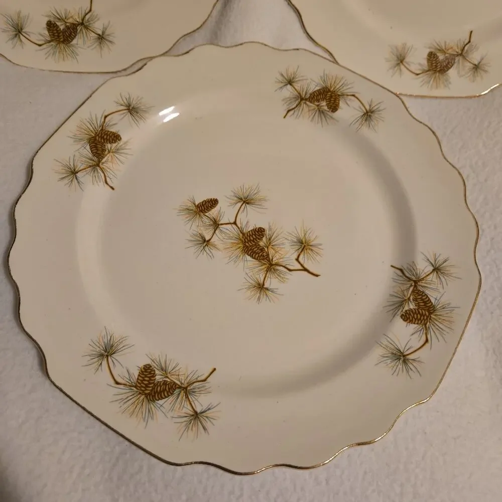 W.S. George Pine Cone pattern dinner 3